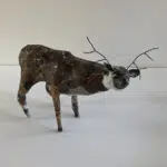 Model of a deer