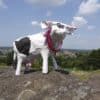 Patty Callaghan -Papier Mache friesian cow