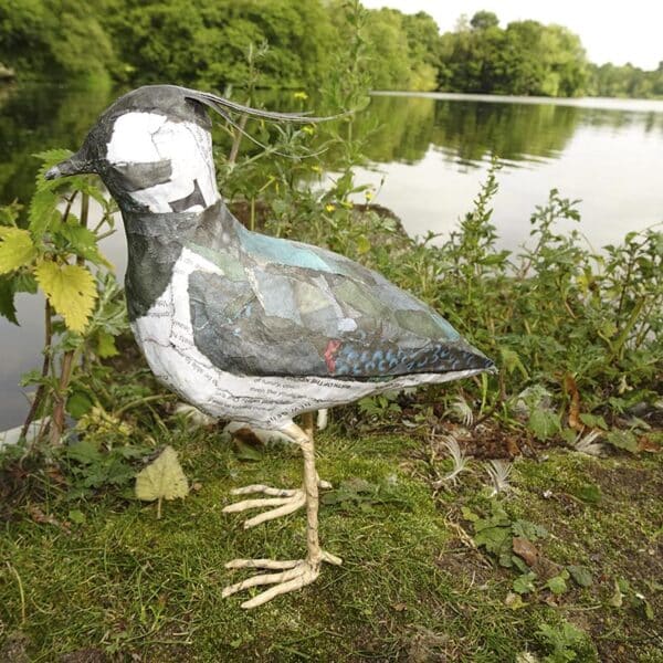 Patty Callaghan -Papier Mache lapwing