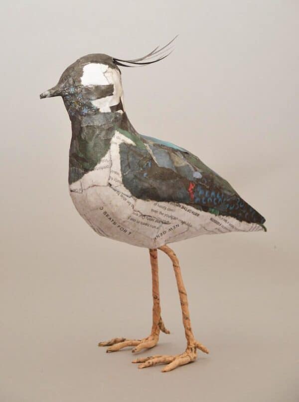 Patty Callaghan - Papier Mache Lapwing