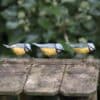3 tiny papier mâché blue tits on the roof of a bird house