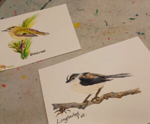 watercolour paintings of garden birds